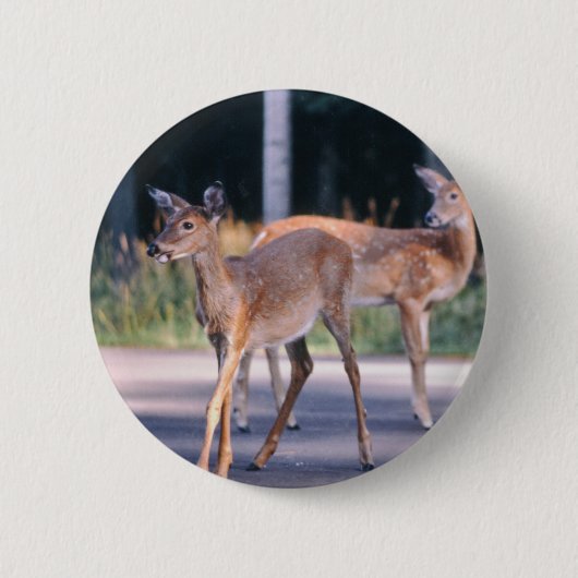 Deer Ronde Button 5,7 Cm (Voorkant)