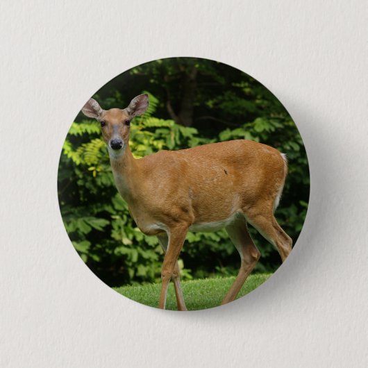 Deer Round Button (Voorkant)