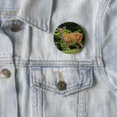 Deer Round Button (In situ)