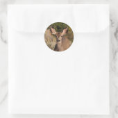 Deer Round Sticker (Tas)