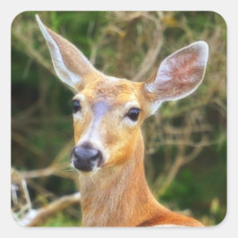 Deer Seal / Sticker / Label