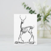Deer Skeleton briefkaart (Staand voorkant)