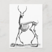 Deer Skeleton briefkaart (Voorkant)