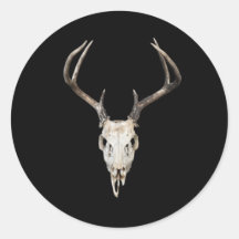 Deer Skull Antler op zwarte achtergrond