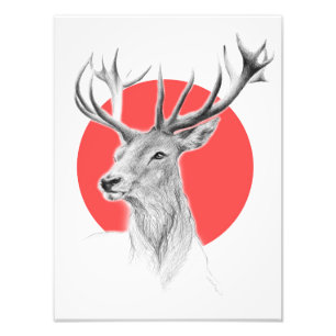 Deer Stag tekening Rode cirkel Dierenkunst Foto Afdruk