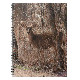 Deer Stare Notitieboek