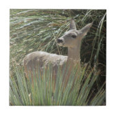 Deer Tegeltje (Voorkant)