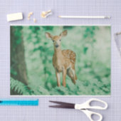 Deer Tissuepapier (Craft)