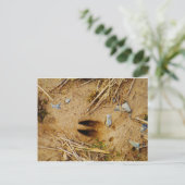 Deer Track Briefkaart (Staand voorkant)