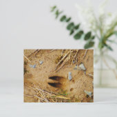 Deer Track Briefkaart (Staand voorkant)