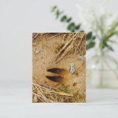 Deer Track Briefkaart (Staand voorkant)