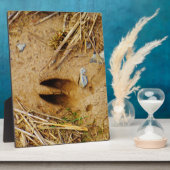 Deer Track Fotoplaat (Zijkant)