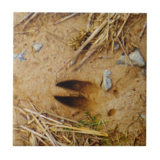 Deer Track Tegeltje (Voorkant)