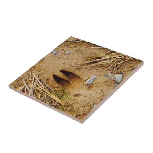 Deer Track Tegeltje (Zijkant)