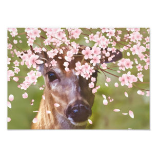 Deer under Cherry Tree Foto Afdruk