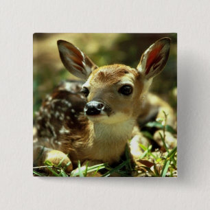 Deer Vierkante Button 5,1 Cm