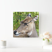 DEER VIERKANTE KLOK (Huis)