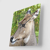 DEER VIERKANTE KLOK (Hoek)