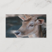 Deer Visitekaartje (Achterkant)