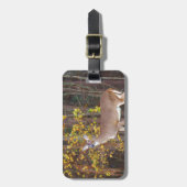 Deer voor de Gele Najaarboom Bagagelabel (Voorkant verticaal)