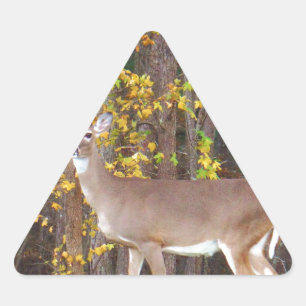 Deer voor de Gele Najaarboom Driehoek Sticker