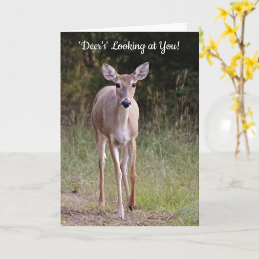 Deer vous regarde Pun jolie carte d'anniversaire (Fleur jaune)