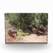 Deer Walking Fotoblokken (Voorkant)