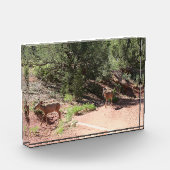 Deer Walking Fotoblokken (Links)