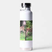 Deer Waterfles (Rechts)