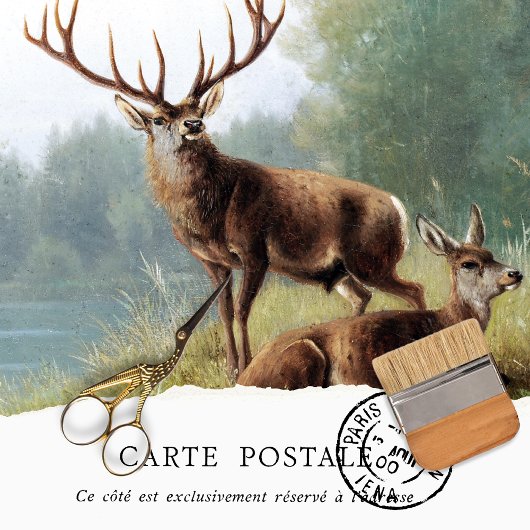  deer-witpapier tissuepapier