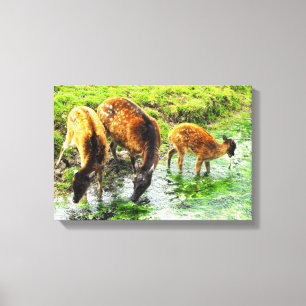 Deerdier Canvas Afdruk