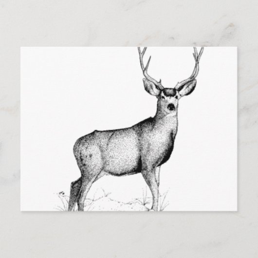 deergif briefkaart (Voorkant)