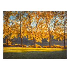 DeerLake in de Herfst Foto Afdruk