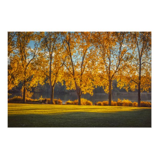 DeerLake in de Herfst Perfect Poster (Voorkant)