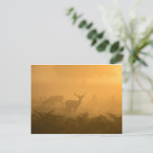 Deers Briefkaart (Staand voorkant)