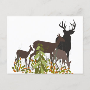 Deers in de Wilde. Bosdieren Briefkaart