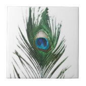 Defecte Peacock Feather Trivet Tegeltje (Voorkant)
