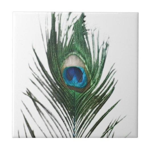 Defecte Peacock Feather Trivet Tegeltje (Voorkant)
