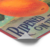 Defiance Oranje LabelVenice-cove, CA Poster (Hoek)