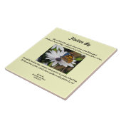 Défiler par carreaux (Côté)