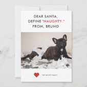 Define Naughty Funny Pet Photo Feestdagenkaart (Voorkant)