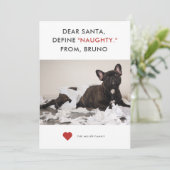 Define Naughty Funny Pet Photo Feestdagenkaart (Staand voorkant)