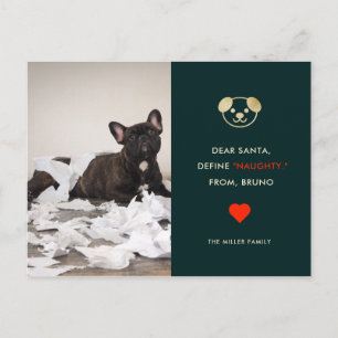 Define Naughty Uw Funny Dog Photo Holiday Card Feestdagenkaart