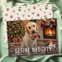 Definieer Stoute Hond Grappige Foto Kerstmis