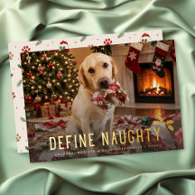 Definieer Stoute Hond Grappige Foto Kerstmis