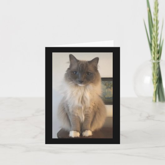 Definitie van CAT Kaart (Voorkant)