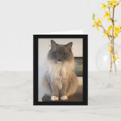 Definitie van CAT Kaart (Gele Bloem)