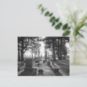 Definitief Briefkaart op zonneschijn (Staand voorkant)