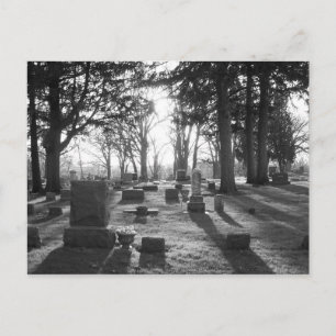 Definitief Briefkaart op zonneschijn