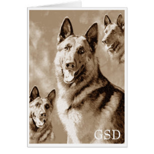 Définition du GSD